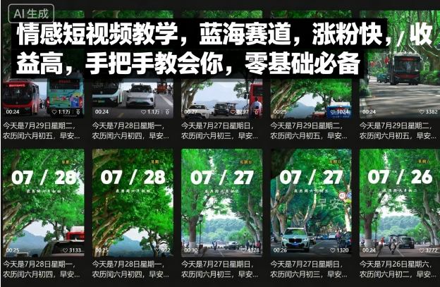 情感短视频教学，蓝海赛道，涨粉快，收益高，手把手教会你，零基础必备-创业项目网