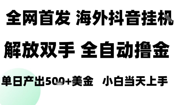海外抖音无人直播，单日产出1.5k+，长期稳定，新手可玩，无脑操作-创业项目网