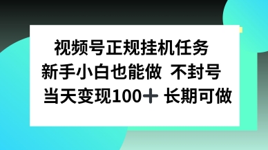 视频号正规挂播任务,有手就行不违规,轻松日入1张-创业项目网