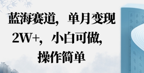 蓝海赛道，小红书私域项目，单月变现2W+，小白可做，操作简单-创业项目网