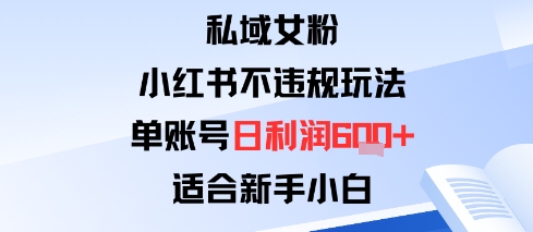 私域女粉：小红书平台不违规玩法单账号日利润6张+适合新手小白-创业项目网