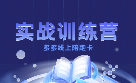 多多实战训练营，从0到1打造一个真正賺钱的店铺-创业项目网