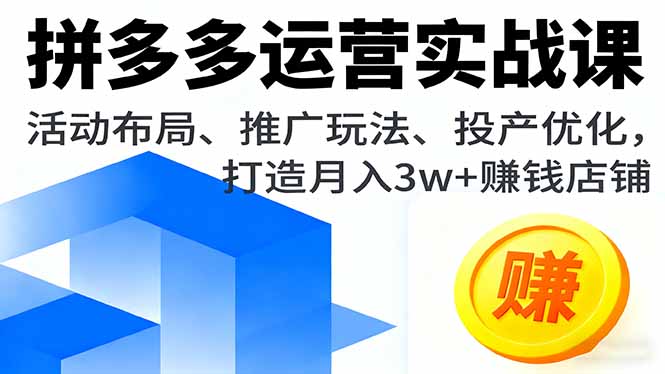 拼多多运营实战课，活动布局、推广玩法、投产优化，打造月入3w+赚钱店铺-创业项目网