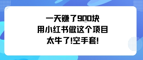 一天挣了9张用小红书做这个项目太牛了，空手套-创业项目网