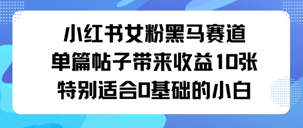 小红书女粉黑马赛道，单篇帖子带来收益10张，特别适合0基础的小白-创业项目网