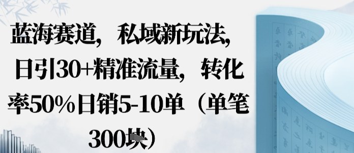 蓝海赛道，私域新玩法，日引30+精准流量，转化率50%日销5-10单（单笔3张）-创业项目网