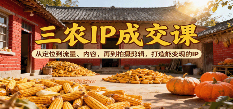 三农IP成交课:从定位到流量、内容,再到拍摄剪辑,打造能变现的IP-创业项目网