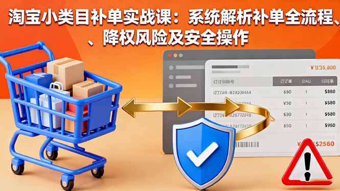 淘宝小类目补单实战课：系统解析补单全流程、降权风险及安全操作-创业项目网