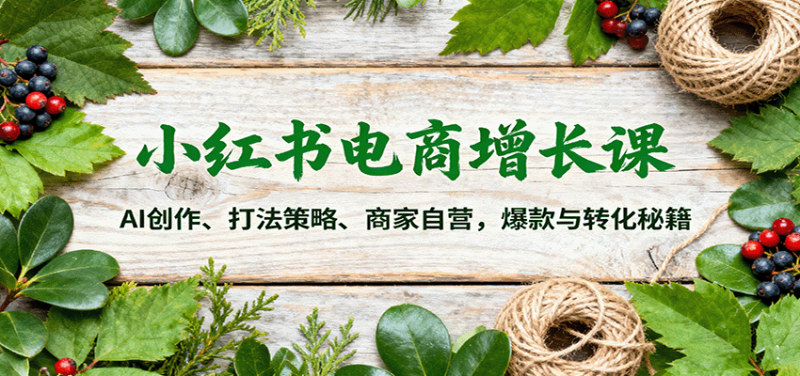 小红书电商增长课:AI创作、打法策略、商家自营,爆款与转化秘籍-创业项目网
