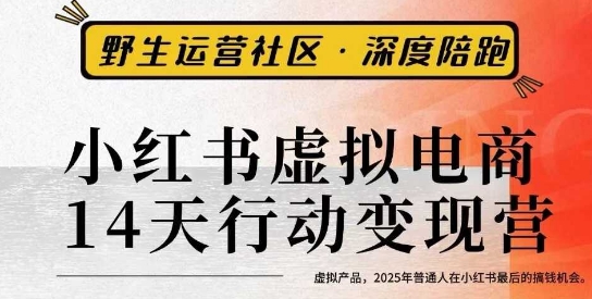小红书虚拟电商14天变现训练营3.0，​虚拟产品，2025年普通人在小红书最后的搞钱机会-创业项目网