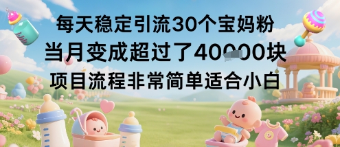 每天稳定引流30个宝妈粉，当月变成超过了1W+，项目流程非常简单，适合小白-创业项目网