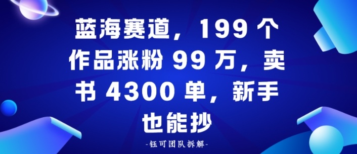 蓝海赛道，199个作品涨粉99W，卖书4300单，新手也能抄-创业项目网