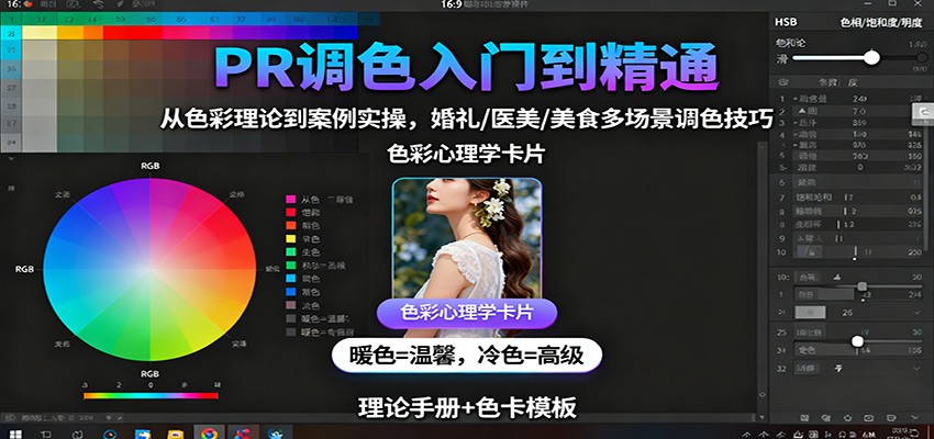 PR调色入门到精通：从色彩理论到案例实操，婚礼/医美/美食多场景调色技巧-创业项目网