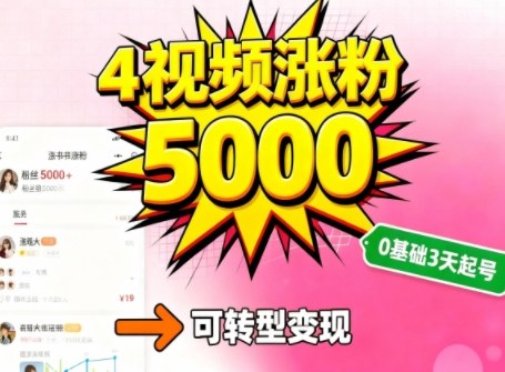 小红书暴力起号方法,四个视频涨粉5000,起号后可转型,操作简单,对小白友好-创业项目网