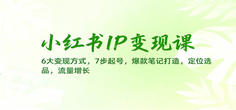 小红书IP变现课：6大变现方式，7步起号，爆款笔记打造，定位选品，流量增长-创业项目网