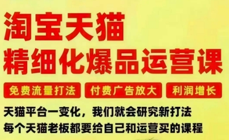 淘宝天猫精细化爆品运营课,免费流量打法-付费广告放大-利润增长-三大核心痛点,一次全部解决-创业项目网
