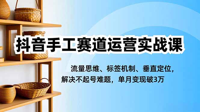 抖音手工赛道运营实战课，流量思维、标签机制、垂直定位，解决不起号难题，单月变现破3万-创业项目网