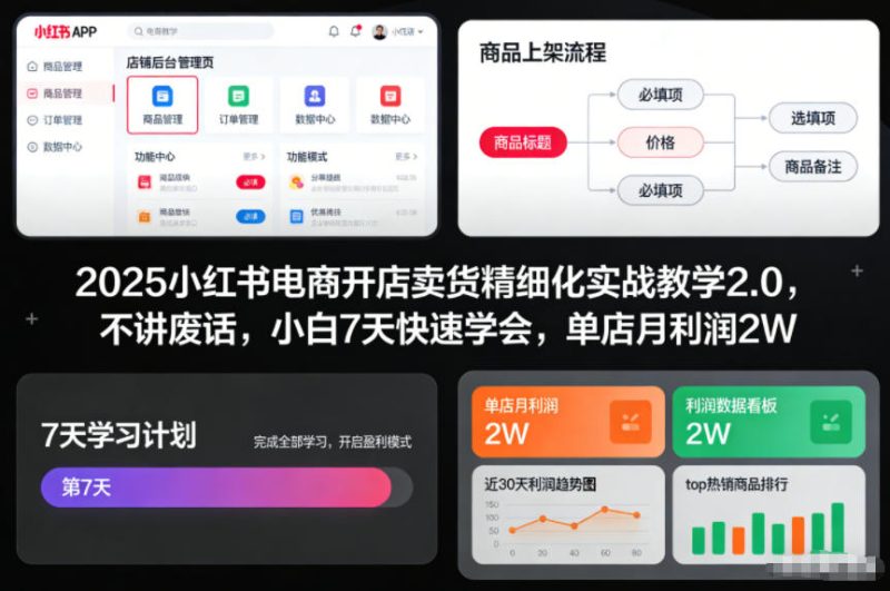 2025小红书电商开店卖货精细化实战教学2.0,不讲废话,小白7天快速学会,单店月利润2W-创业项目网
