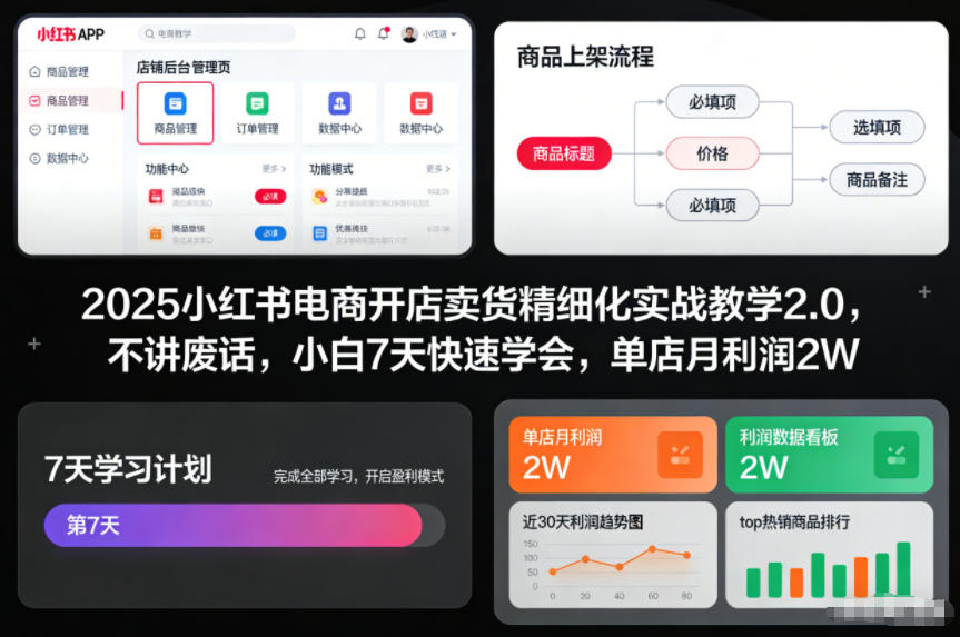 2025小红书电商开店卖货精细化实战教学2.0，不讲废话，小白7天快速学会，单店月利润2W-创业项目网