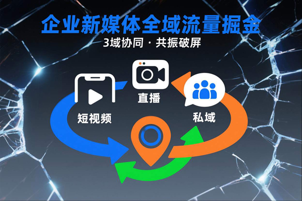 短视频全域商业模式，企业新媒体全域流量掘金，3域协同，共振破屏，短视频-直播-私域-地域-创业项目网