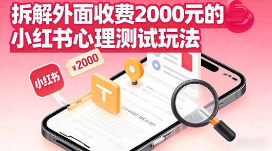 拆解外面收费2k的小红书心理测试玩法，不用你会复杂剪辑，一部手机就能操作-创业项目网