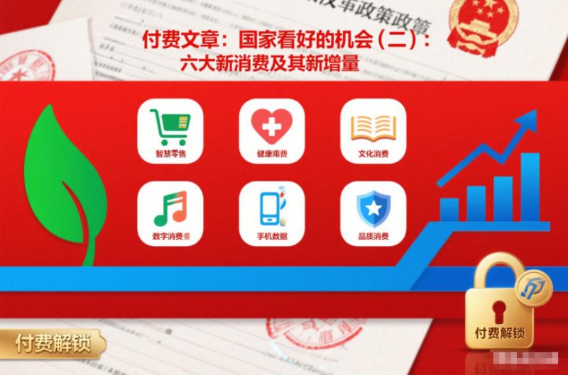 付费文章：国家看好的机会(二)：六大新消费及其新增量-创业项目网