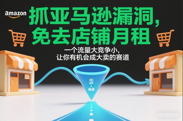 抓亚马逊漏洞，免去店铺月租，一个流量大竞争小，让你有机会成大卖的赛道-创业项目网