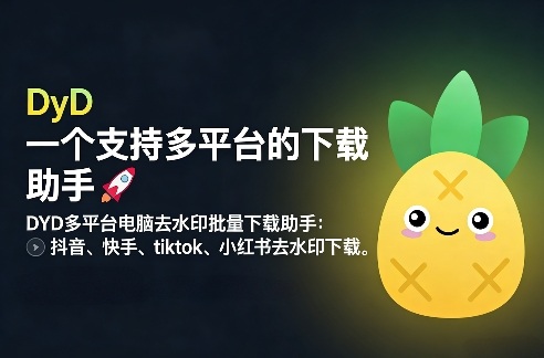 DYD多平台电脑去水印批量下载助手:抖音、快手、tiktok、小红书去水印下载-创业项目网