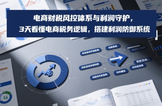 电商财税风控体系与利润守护，3天看懂电商税务逻辑，搭建利润防御系统-创业项目网