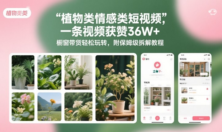 植物类情感类短视频,一条视频获赞36W+,橱窗带货轻松玩转,附保姆级拆解教程-创业项目网