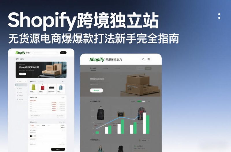 Shopify跨境独立站无货源电商爆款打法新手完全指南-创业项目网