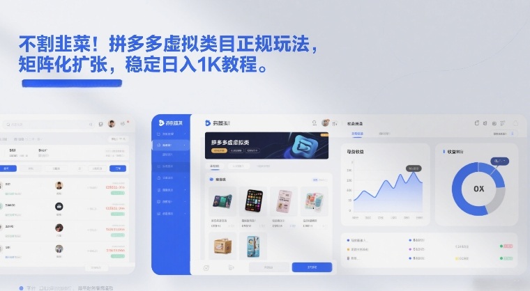 不割韭菜！拼多多虚拟类目正规玩法，矩阵化扩张，稳定日入1K教程-创业项目网
