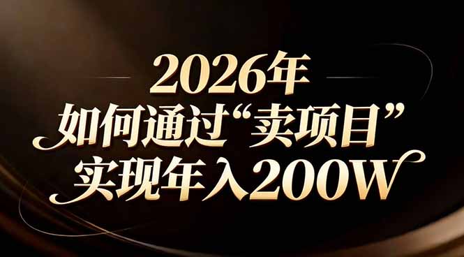 站在2026年的十字路口：一个普通人如何通过卖项目实现年入200万-创业项目网