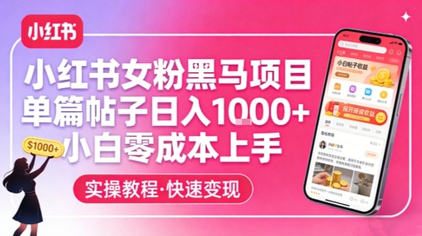 小红书女粉黑马项目，单篇帖子日入1k+，小白零成本上手-创业项目网